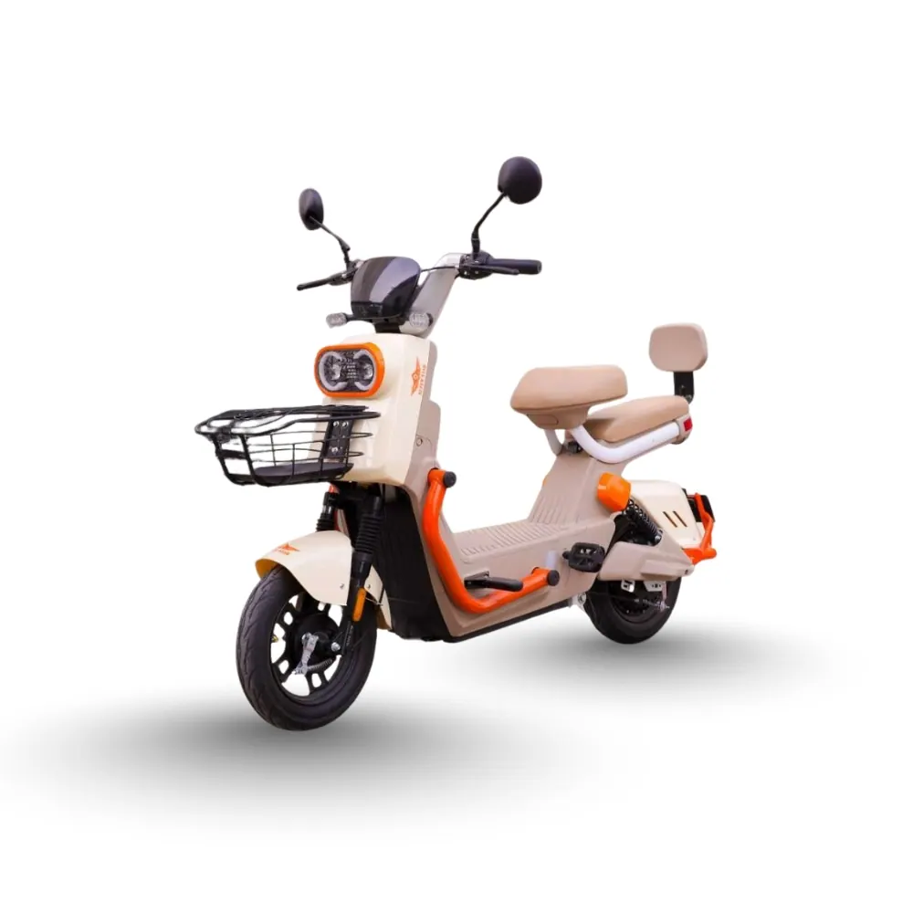 Super Star Scooty Pigeon